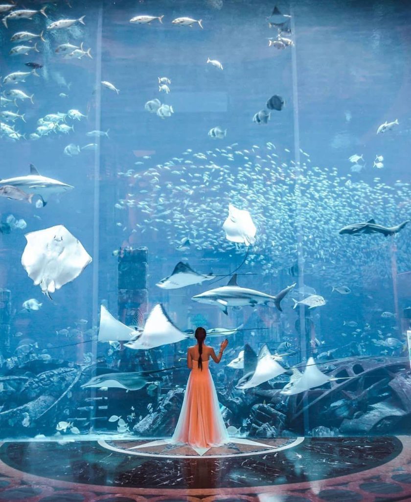 A girl standing in front of glass with marine life in water