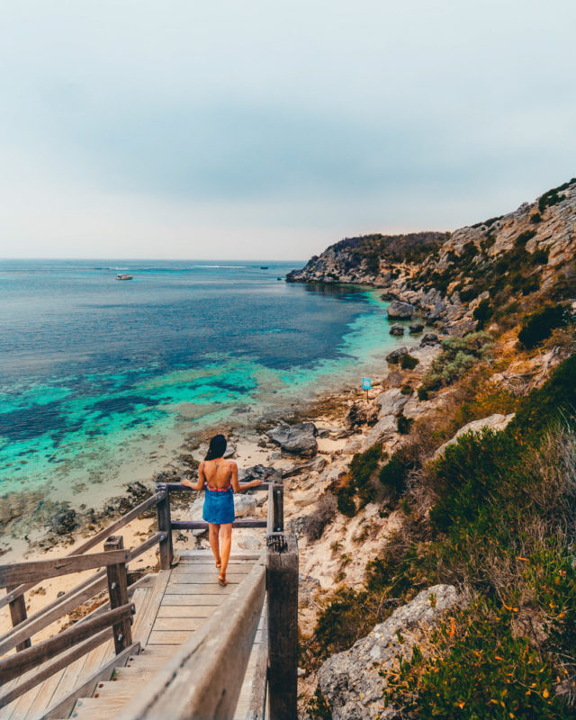 A Perfect Day Trip To Rottnest Island - Suvarna Arora