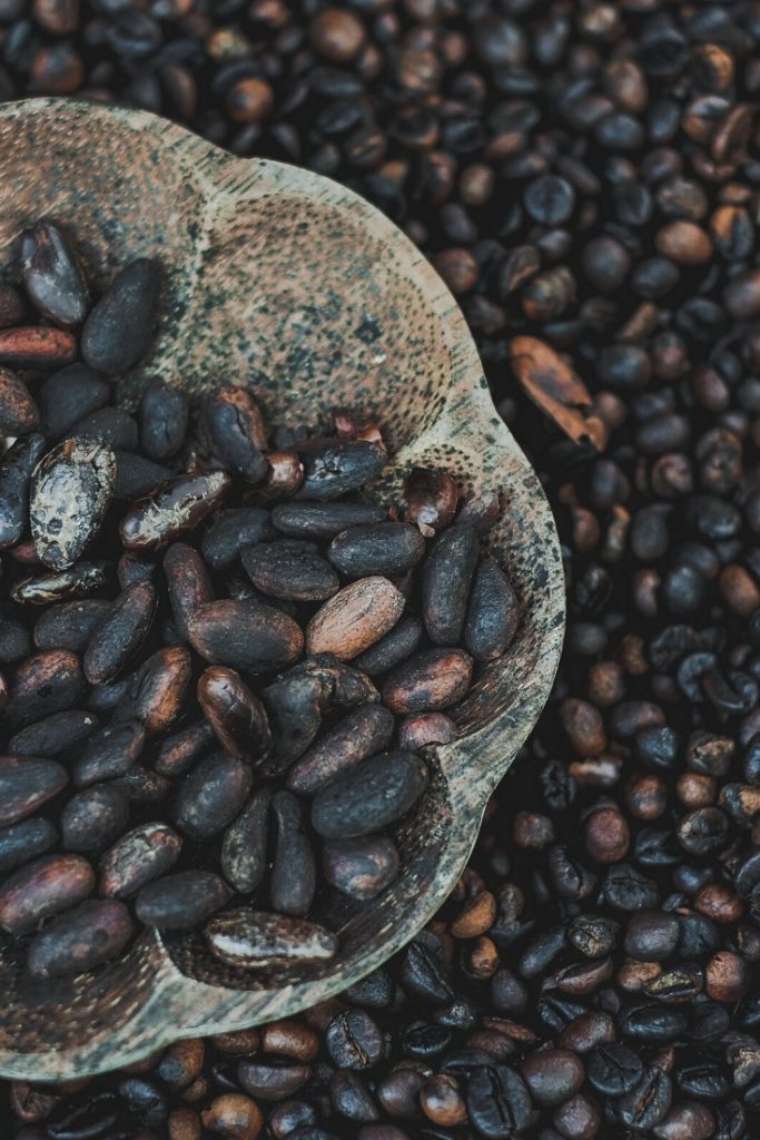 Famous luwak coffee beans