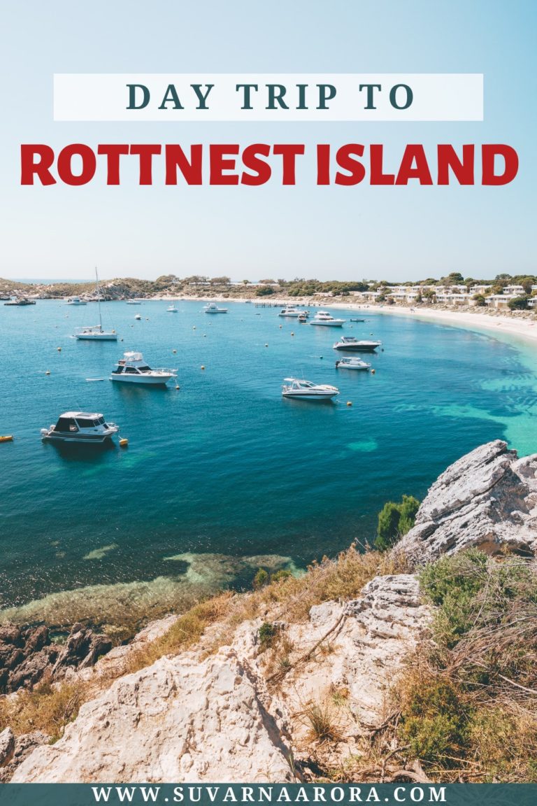 A Perfect Day Trip To Rottnest Island Suvarna Arora