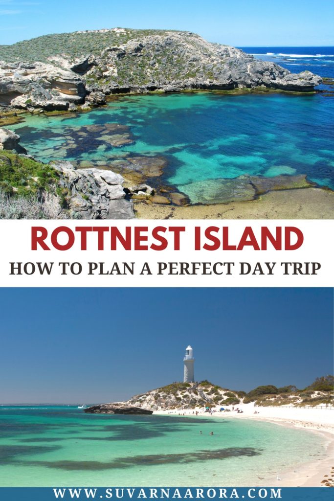 day-trip-to-rottnest-island-western-australia-pin