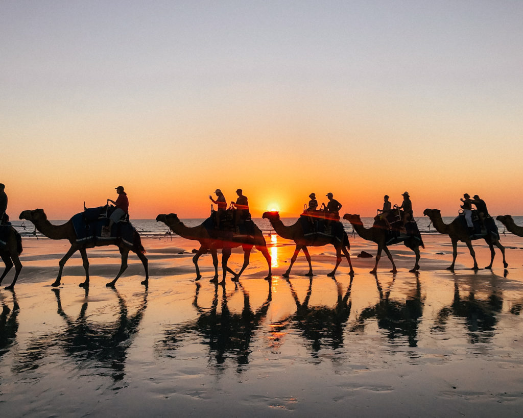 Camel riding suring sunset at Cable Beach in Australia
