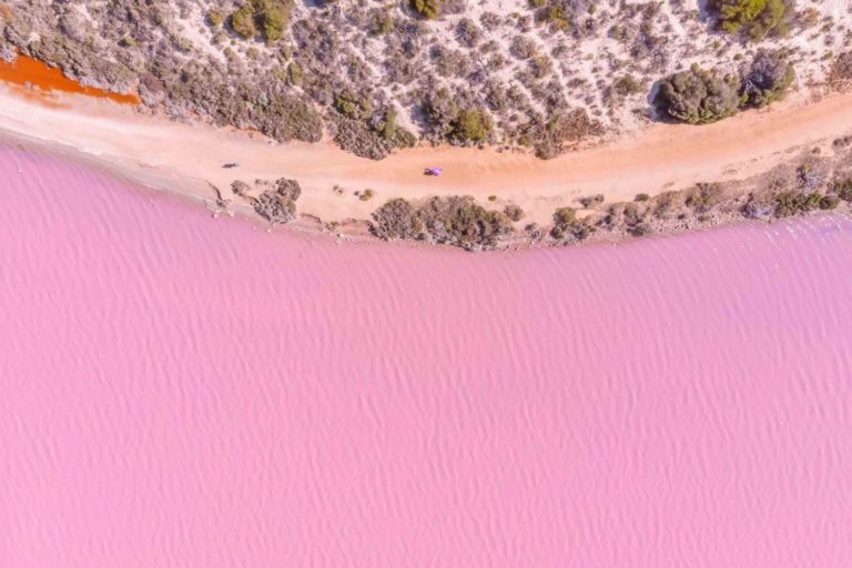 Pink Lake WA: Ultimate Guide to visiting Hutt Lagoon in 2022