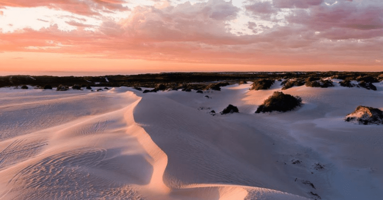 Sandboarding Lancelin Sand Dunes – The Best 3 hour adventure