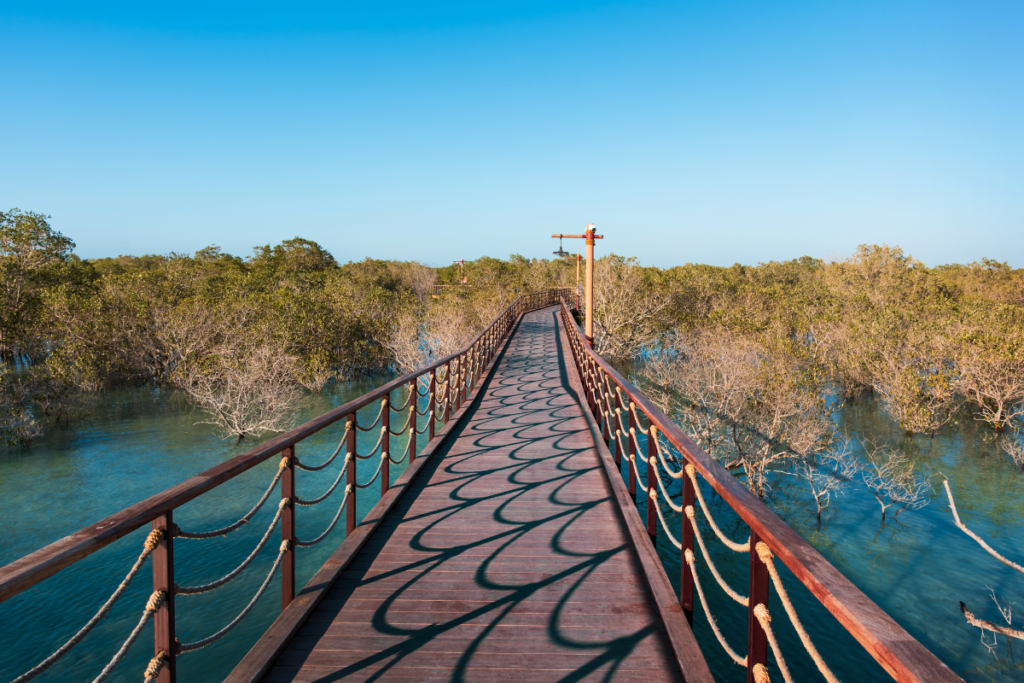 Eastern Mangrove National Park