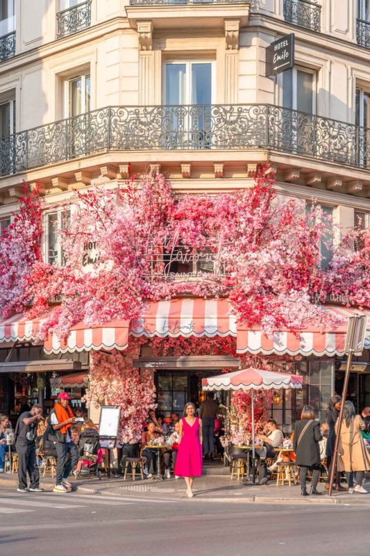 Floral cafe decorated with pink flowers 